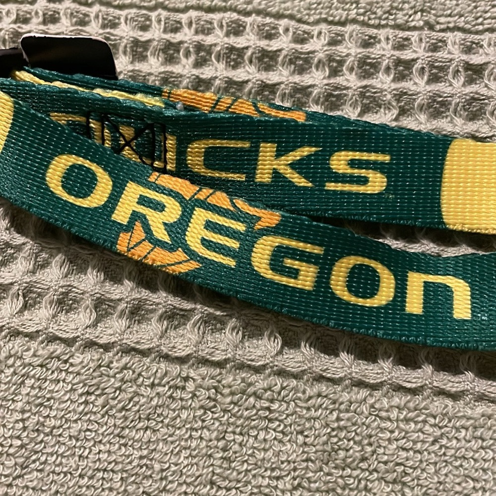 Oregon Ducks Dog Collar (M)